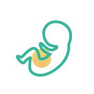 卵巢早衰对备孕女性影响有多大你知道吗？