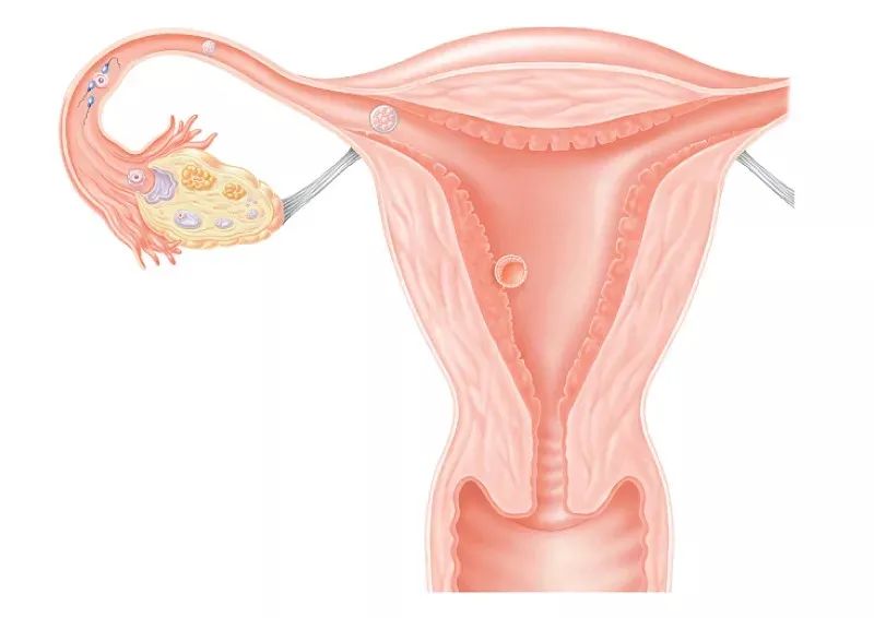 头胎染色体异常， 下次怀孕要做什么检查？